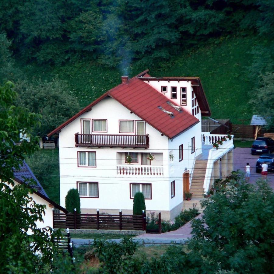 Pensiunea Ionela Moieciu de Jos Exterior photo